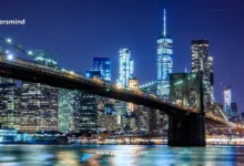 برنامج تدريب ديلويت ديسكفري