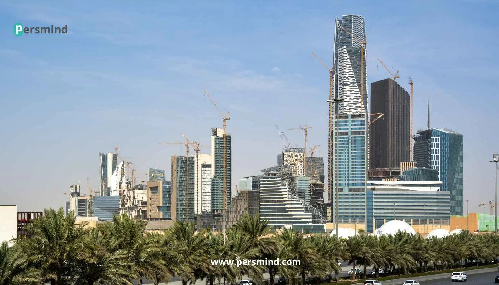 برنامج المهنيين الشباب