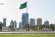 برنامج المهنيين الشباب