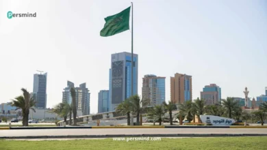 برنامج المهنيين الشباب