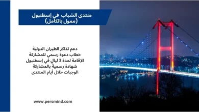 جسر البوسفور في إسطنبول ليلًا يرمز إلى منتدى الشباب الدولي في تركيا.