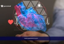 منحة جامعة رأس الخيمة 2026 – صورة توضيحية لقلب ثلاثي الأبعاد ترمز للتخصصات الطبية والصحية.