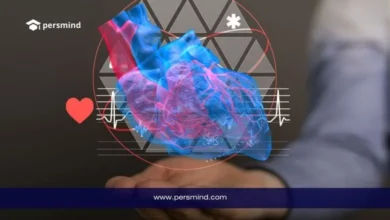 منحة جامعة رأس الخيمة 2026 – صورة توضيحية لقلب ثلاثي الأبعاد ترمز للتخصصات الطبية والصحية.