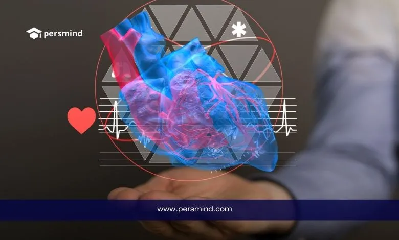 منحة جامعة رأس الخيمة 2026 – صورة توضيحية لقلب ثلاثي الأبعاد ترمز للتخصصات الطبية والصحية.
