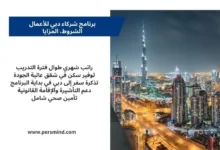 برنامج شركاء دبي للأعمال في مدينة دبي مع إطلالة على برج خليفة وفرص تدريب مهني ممولة بالكامل للمهنيين الدوليين