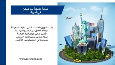 مجسّم لمدينة نيويورك يتضمن تمثال الحرية ومبانٍ شاهقة بجانب نص يوضح مزايا منحة جامعة نيو هيفن في أمريكا.