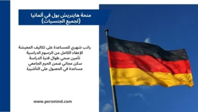 علم ألمانيا مرفوع أمام السماء بجانب لوحة معلومات عن مزايا منحة هاينريش بول للطلاب الدوليين.