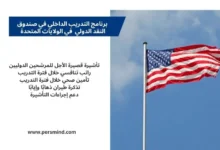 صورة لعلم الولايات المتحدة الأمريكية مرفوعًا على سارية في يوم صافٍ، مع نص يوضح مزايا برنامج التدريب الداخلي في صندوق النقد الدولي.