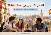 العمل التطوعي في إسبانيا