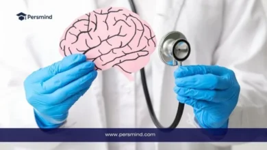 طبيب يرتدي قفازات طبية يحمل نموذجًا ورقيًا للدماغ ويستخدم سماعة طبية، في سياق توضيح دراسة الطب النفسي وتخصصات الصحة العقلية.