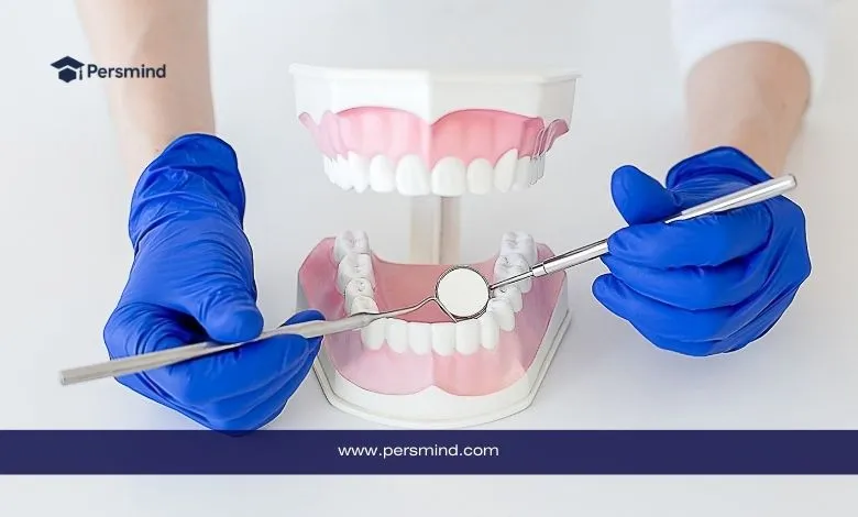 نموذج فك وأسنان مع أدوات فحص الأسنان يرتديها طبيب أسنان بقفازات طبية في مختبر تدريبي