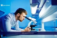 عالم أحياء دقيقة يفحص عينة باستخدام المجهر داخل مختبر متخصص، في سياق دراسة علم الأحياء الدقيقة والبحوث الميكروبية.