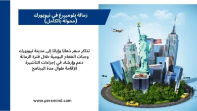 صورة ترويجية لزمالة بلومبيرغ في نيويورك، تُظهر تمثال الحرية وناطحات السحاب والطائرات وسيارات الأجرة، مع نص يوضح مزايا الزمالة مثل تذاكر السفر والإقامة والدعم في إجراءات التأشيرة.