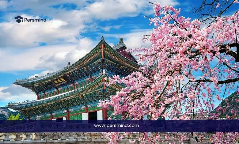 قصر كوري تقليدي تحيط به أزهار الكرز الوردية، يرمز إلى الدراسة في كوريا الجنوبية ومنحة الحكومة الكورية