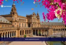 منحة جامعة لاغونا في إسبانيا