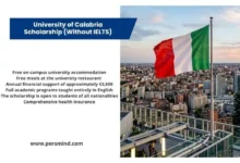 Italian flag overlooking a modern Italian city skyline in an article about the University of Calabria Scholarship