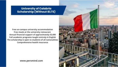 Italian flag overlooking a modern Italian city skyline in an article about the University of Calabria Scholarship