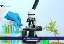 مجهر وأنابيب اختبار تحتوي على محاليل ملونة في مختبر علمي ضمن مقال عن دراسة تخصص الكيمياء الحيوية وفرص العمل في المجال الطبي والبحثي