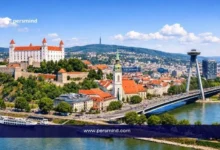 Slovak Government Scholarship