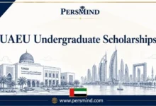 UAEU Undergraduate Scholarships