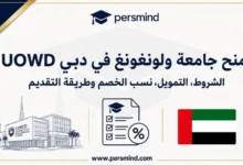 منح جامعة ولونغونغ في دبي