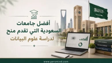 أفضل جامعات السعودية التي تقدم منح لدراسة علوم البيانات
