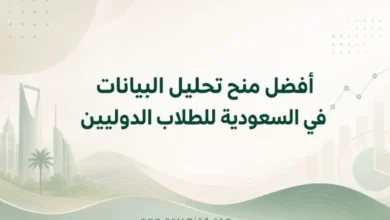 أفضل منح تحليل البيانات في السعودية للطلاب الدوليين