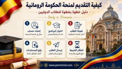 كيفية التقديم لمنحة الحكومة الرومانية