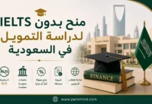 كيفية الحصول على منحة لدراسة التمويل في السعودية
