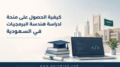 كيفية الحصول على منحة لدراسة هندسة البرمجيات في السعودية