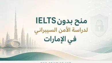 منح بدون IELTS لدراسة الأمن السيبراني في الإمارات