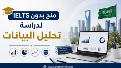 منح بدون IELTS لدراسة تحليل البيانات في السعودية