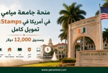 منحة جامعة ميامي Stamps في أمريكا