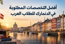 أفضل التخصصات المطلوبة في الدنمارك للطلاب العرب