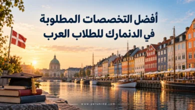 أفضل التخصصات المطلوبة في الدنمارك للطلاب العرب