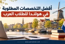 أفضل التخصصات المطلوبة في هولندا للطلاب العرب