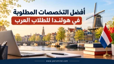أفضل التخصصات المطلوبة في هولندا للطلاب العرب