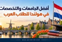 أفضل الجامعات والتخصصات في هولندا للطلاب العرب