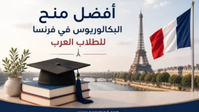 أفضل منح البكالوريوس في فرنسا للطلاب العرب