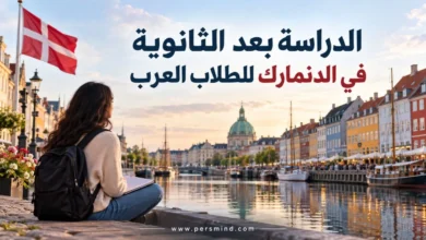 الدراسة بعد الثانوية في الدنمارك للطلاب العرب