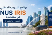 برنامج التدريب الداخلي NUS IRIS