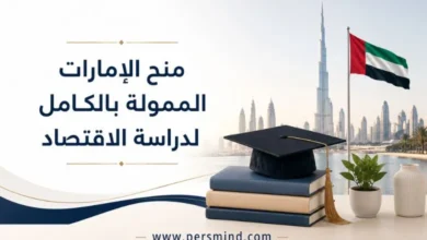 منح الإمارات الممولة بالكامل لدراسة الاقتصاد