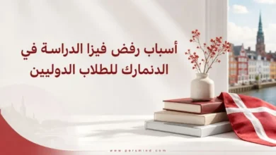 أسباب رفض فيزا الدراسة في الدنمارك