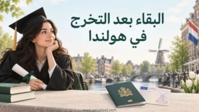 البقاء بعد التخرج في هولندا