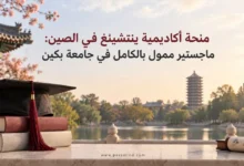 منحة أكاديمية ينتشينغ في الصين