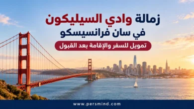 زمالة وادي السيليكون في سان فرانسيسكو